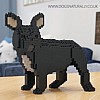 French Bulldog Jekca (Turn) Black